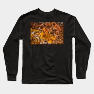 Autumn days Long Sleeve T-Shirt